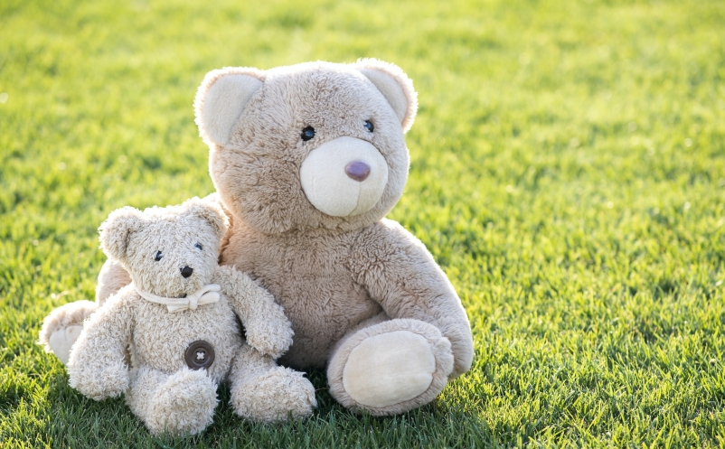 Two cute teddy bear toys hugging together on green grass in summer