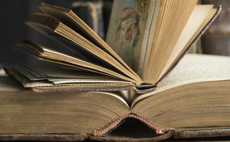 Two opened book in a historic library, close-up